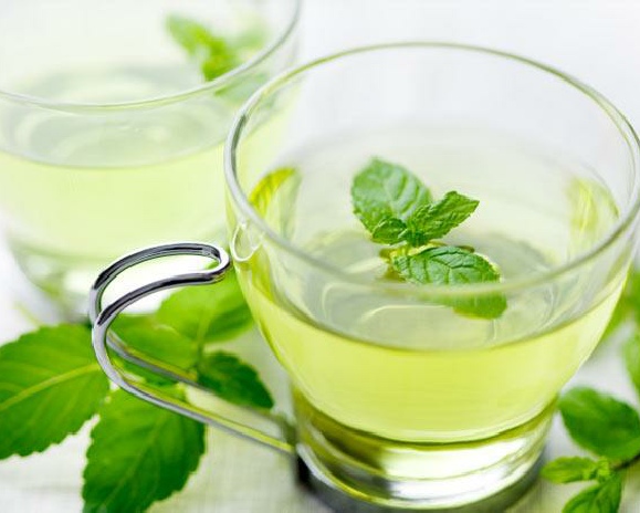 Pharma Germania - Quality Herbal Teas